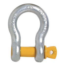 Beaver Screw Pin Anchor Bow Shackle (Various Sizes)